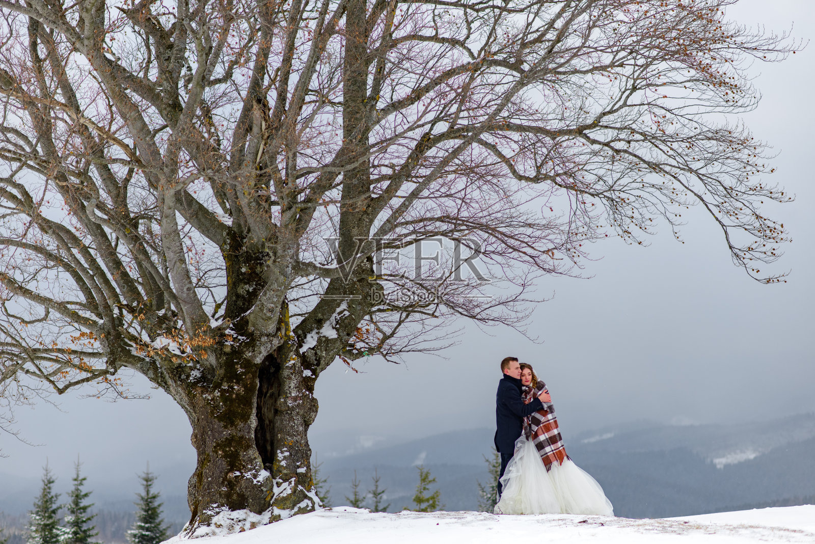 新娘和新郎依偎在地毯下取暖。冬季婚礼照片摄影图片