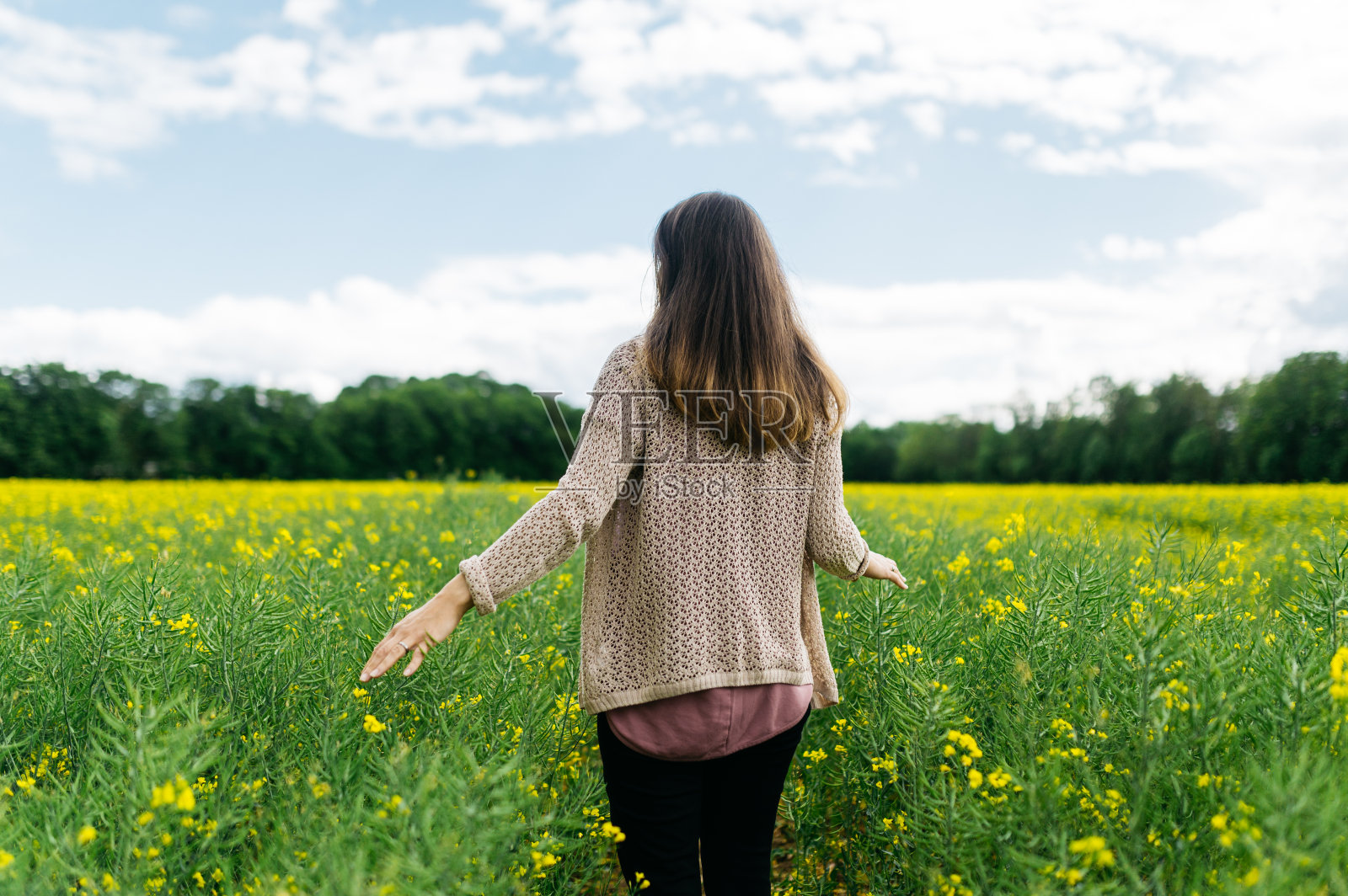 一个年轻女子走在油菜籽地里照片摄影图片