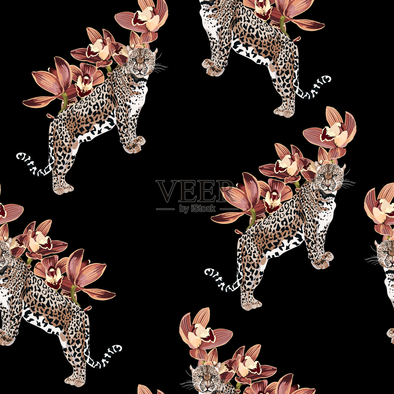 热带年份的米黄色兰花花插画图片素材