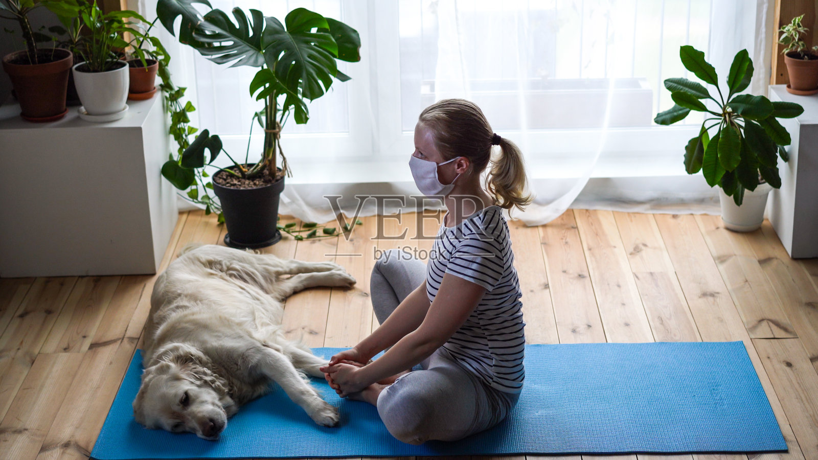 呆在家里。隔离期间，一名女子在客厅做瑜伽，一只大狗躺在附近。照片摄影图片