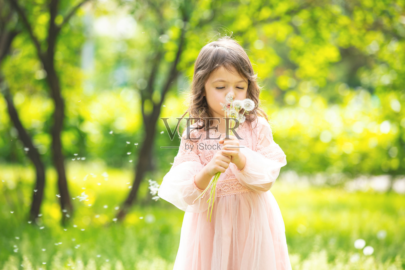 可爱的小女孩和美丽的一束蒲公英吹在他们的大自然照片摄影图片