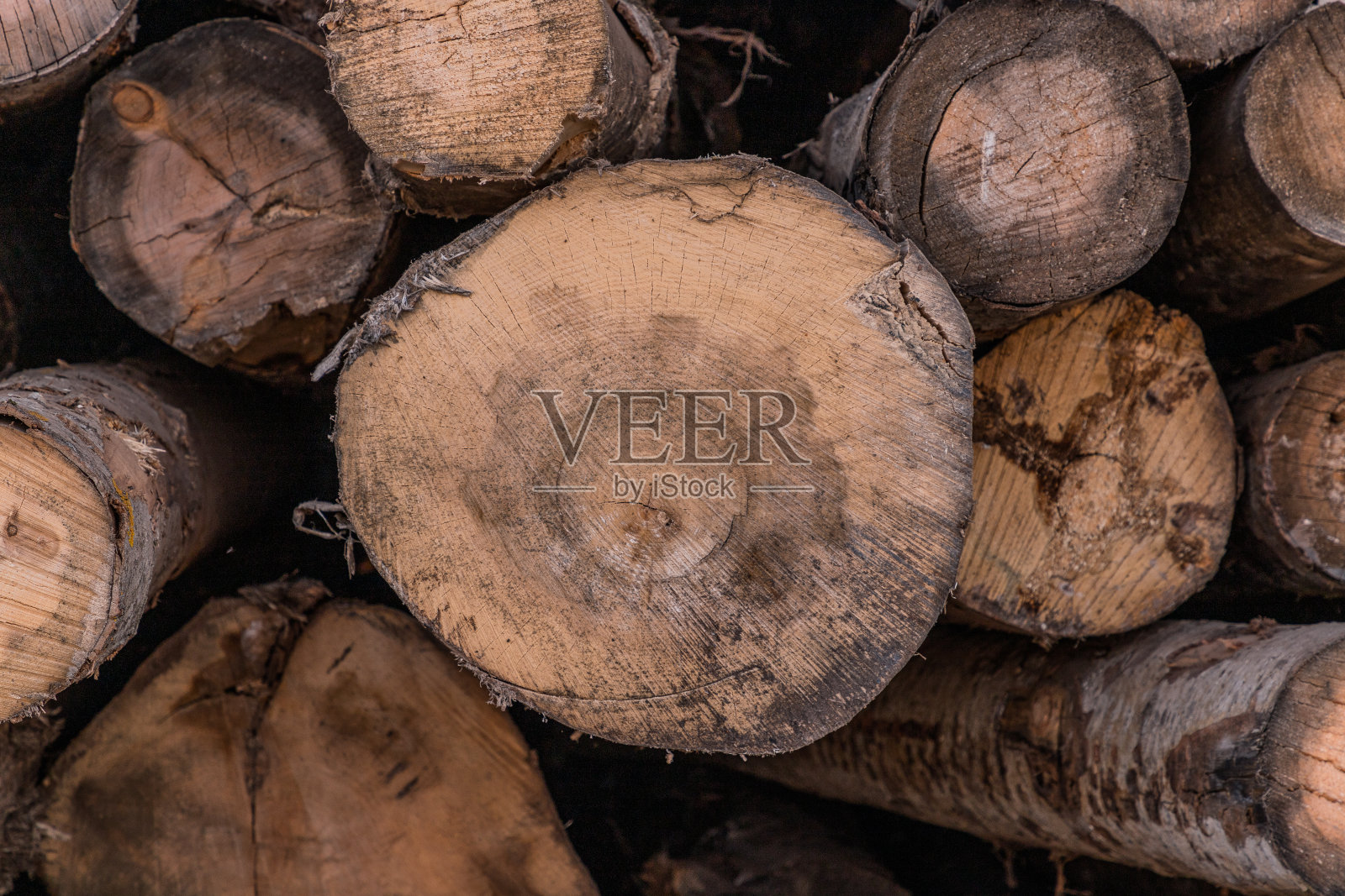 一堆原木。工业用木材储存。倒下的树干。全景式的木柴砍伐，树干原木堆放准备。为了工业生产而砍伐森林。照片摄影图片