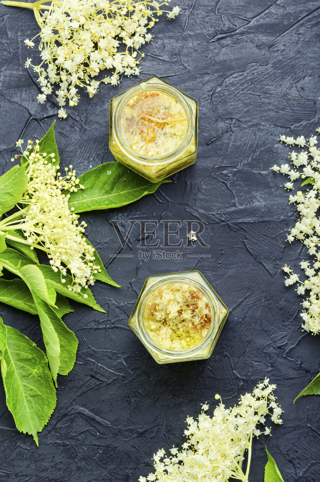 接骨木草药花。照片摄影图片