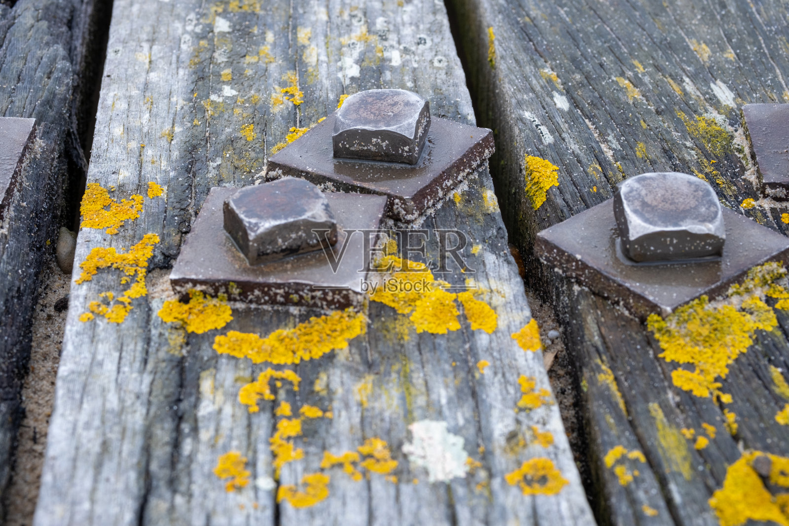 Southbourne海滩在一个美丽的阳光但有风的日子。照片摄影图片