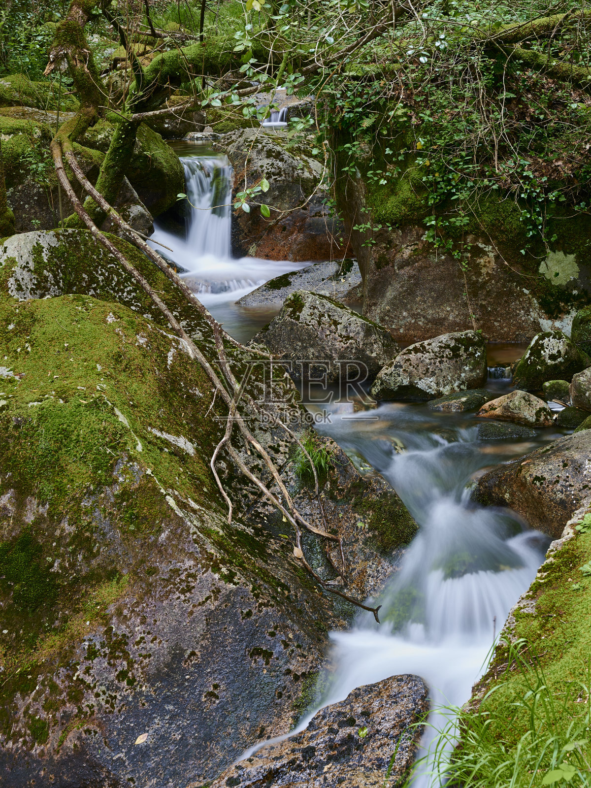 玛塔·德·阿尔伯加利亚的森林瀑布，gerês照片摄影图片