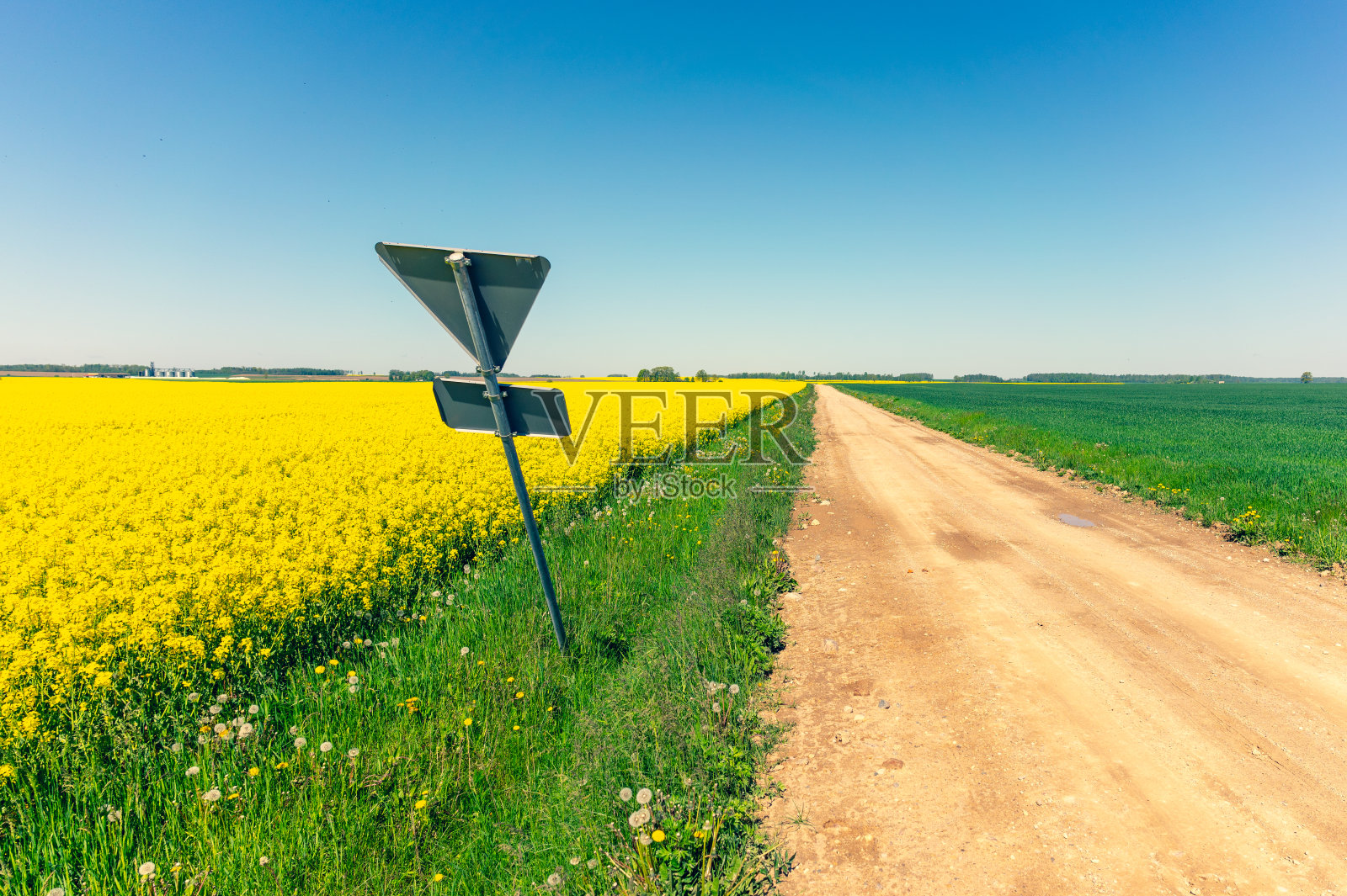 田地里一条土路边上的路标照片摄影图片