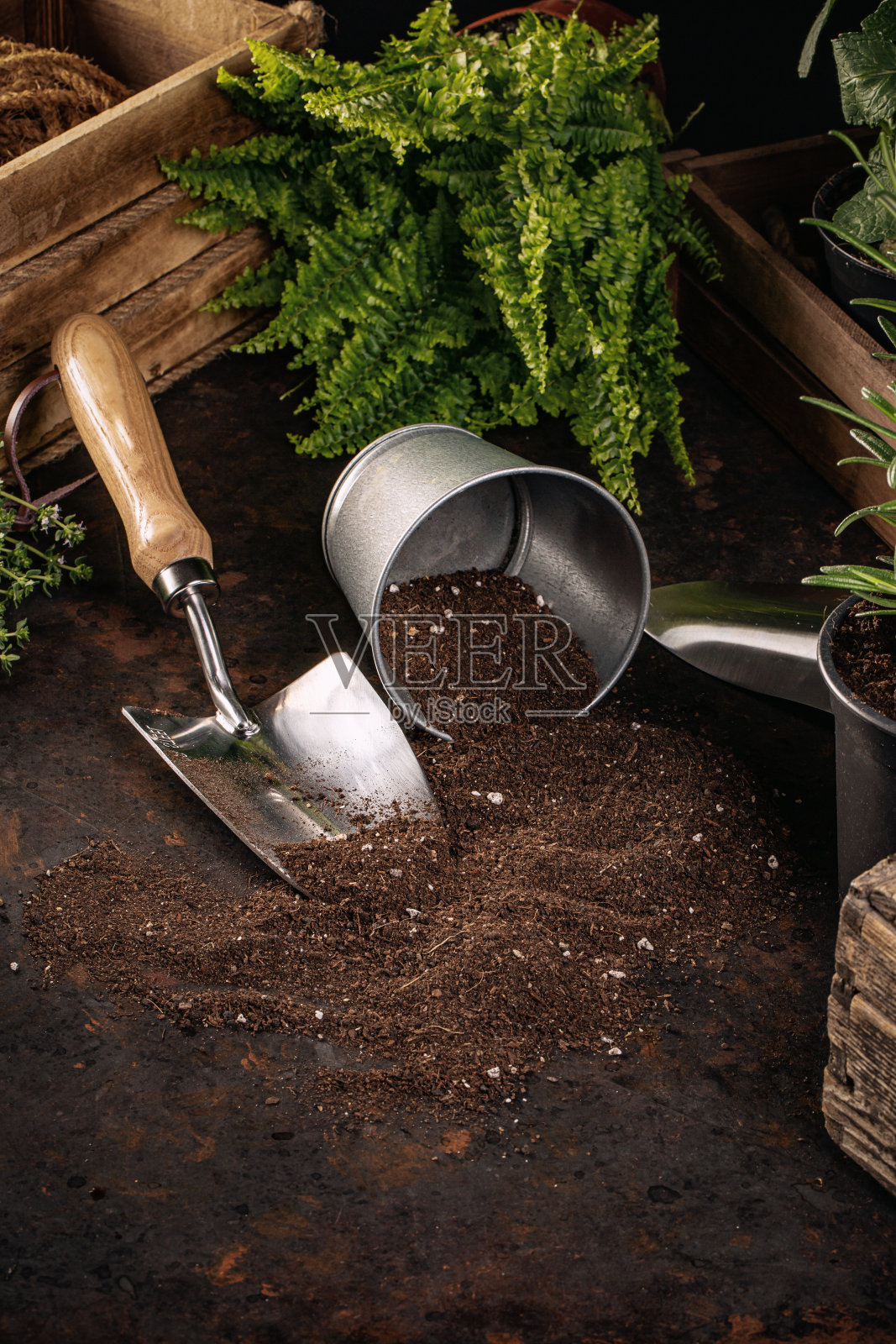 园艺工具组成照片摄影图片