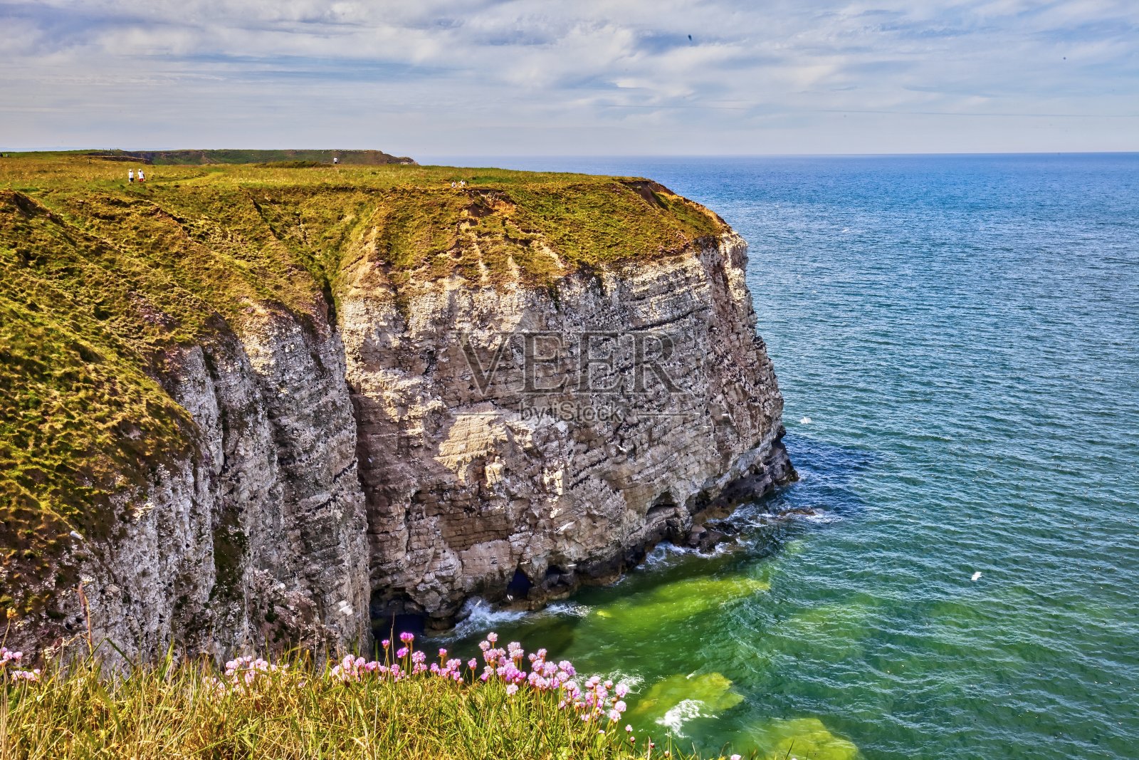 英国约克郡的Flamborough悬崖。照片摄影图片