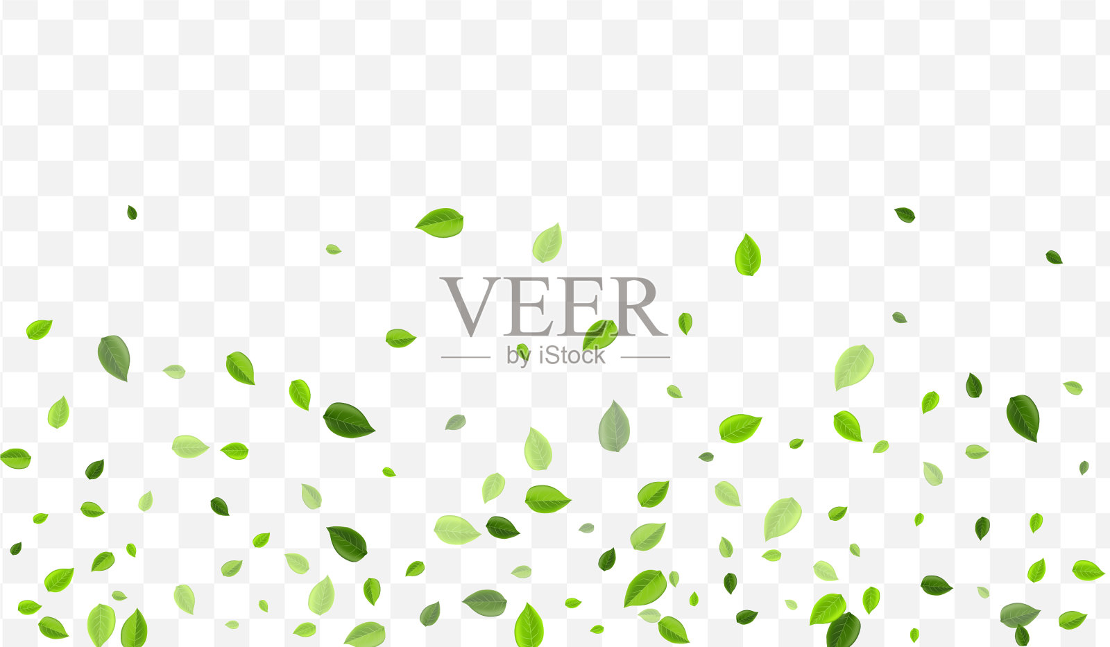 森林枝叶翠绿插画图片素材