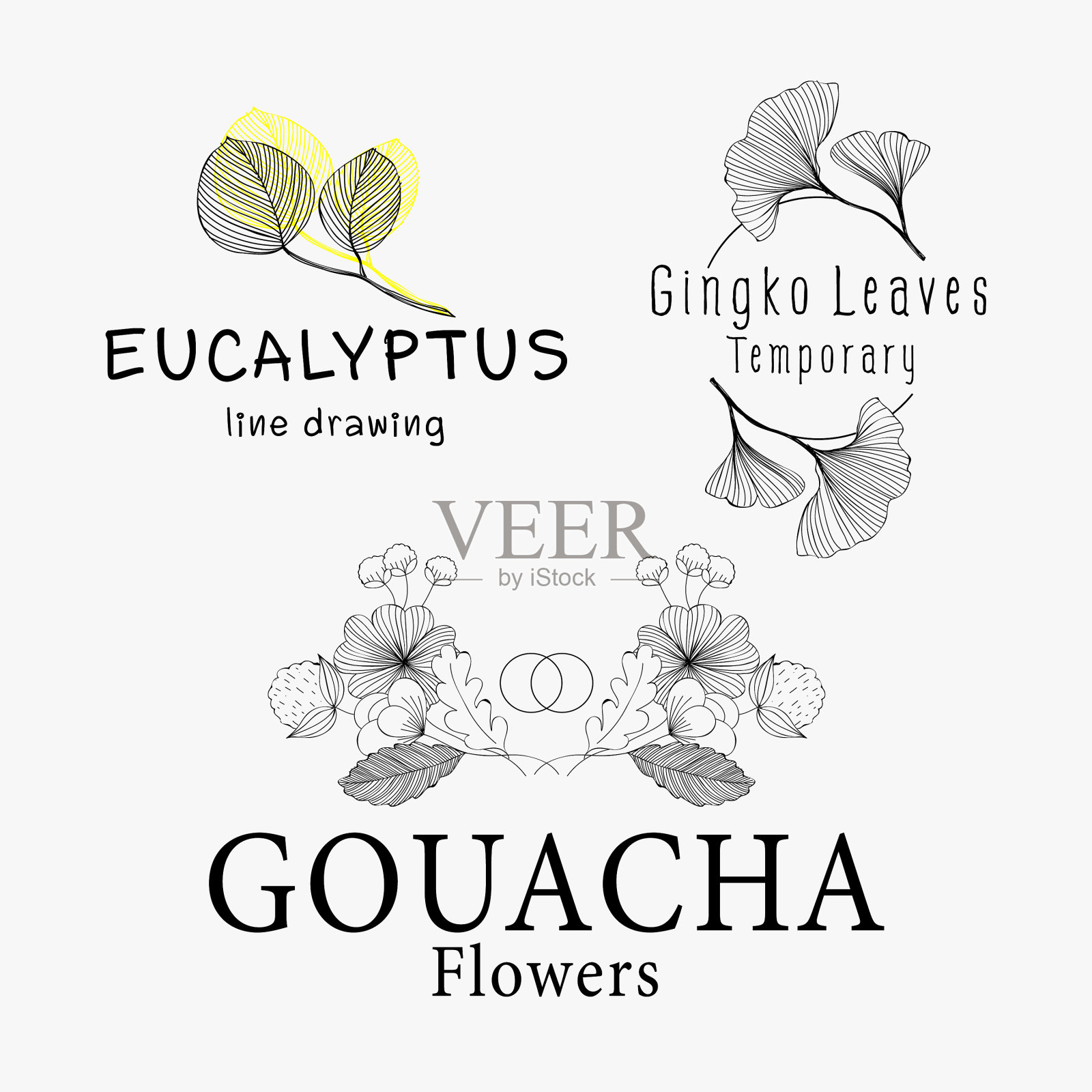 花朵女性标志模板插画图片素材