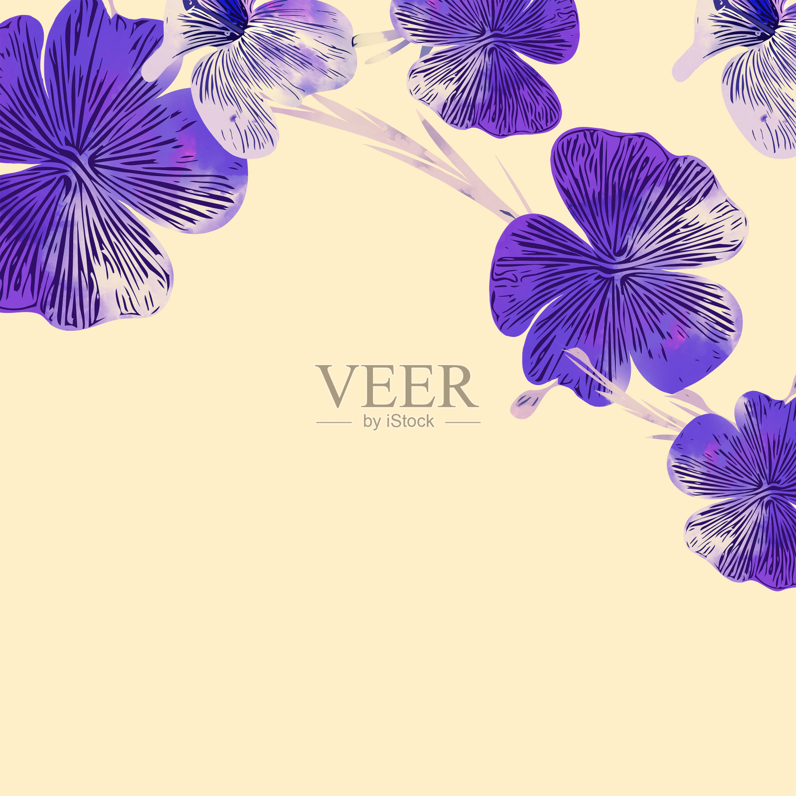 彩色的花，问候或桌卡。插画图片素材