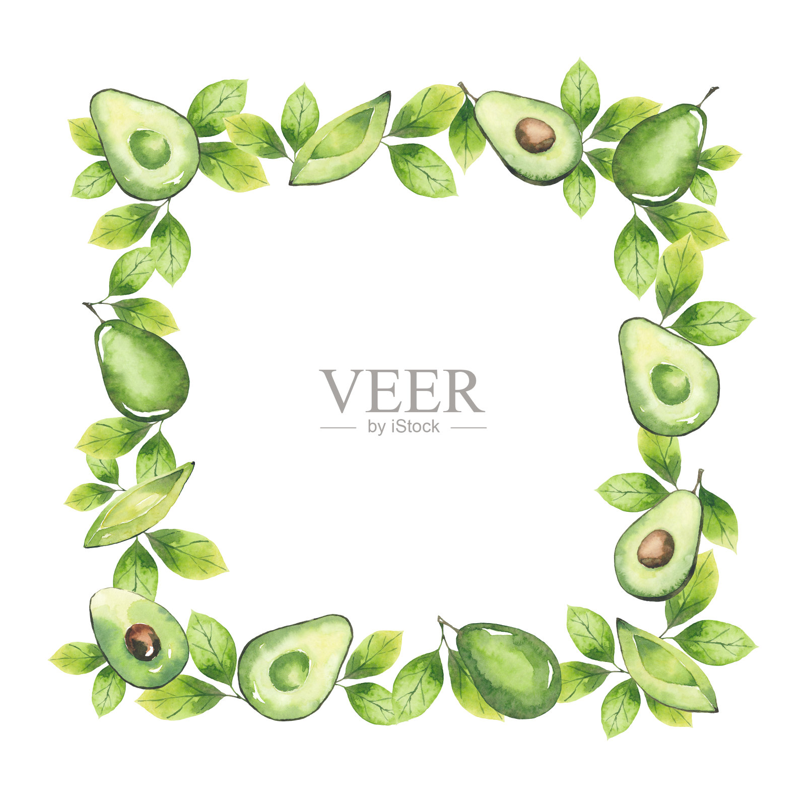 水彩框架从鳄梨和绿色植物元素孤立的白色背景插画图片素材