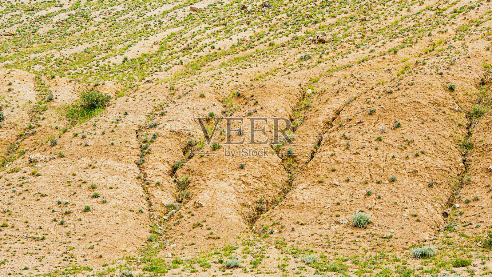 粘土山坡有土壤侵蚀的痕迹，气候变化，由于干旱失去肥沃的土地和牧场照片摄影图片