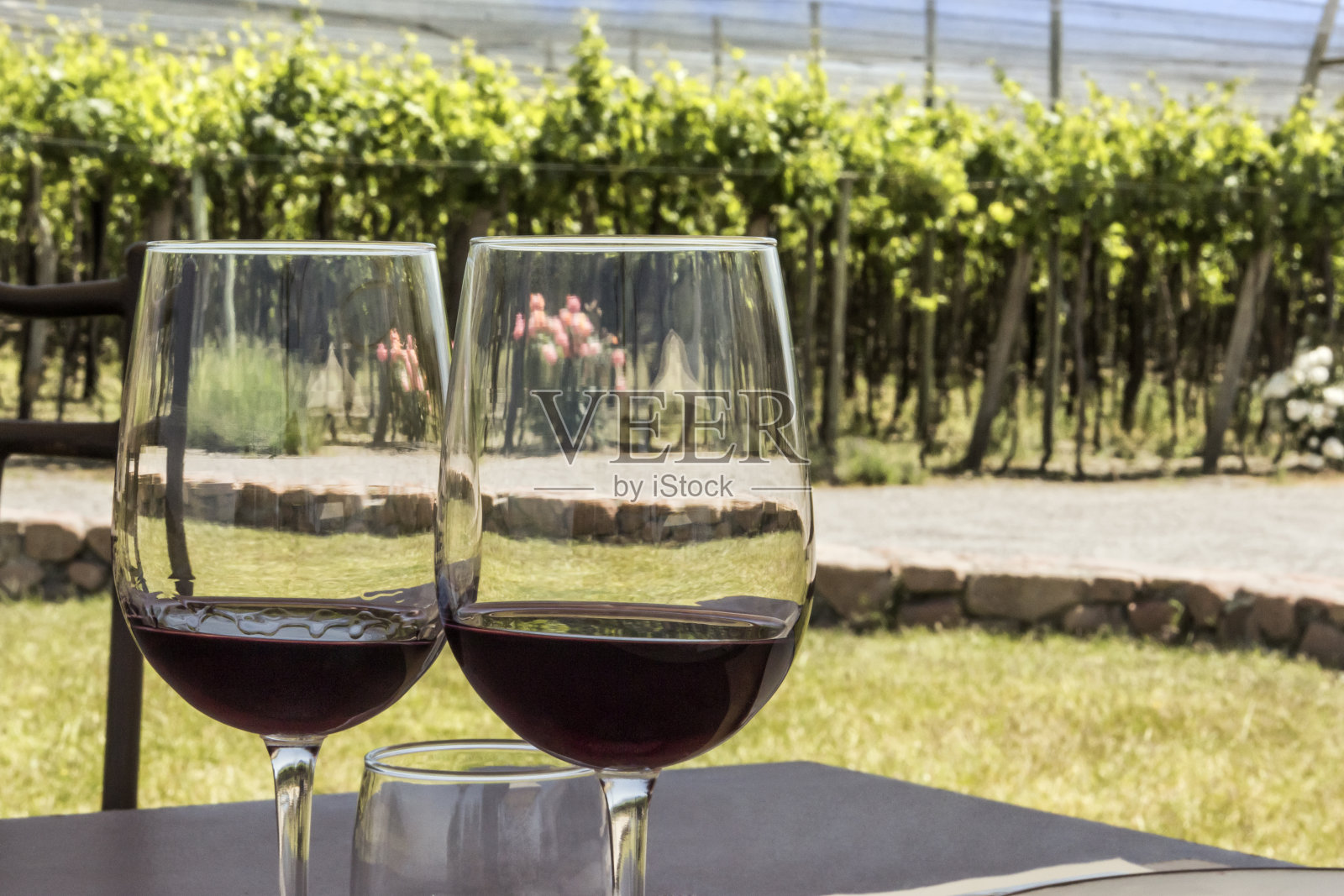 葡萄酒旅游、葡萄园、风景和露天酒杯。照片摄影图片