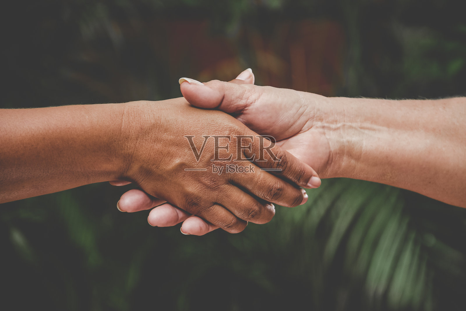 黑色和白色握手的特写。照片摄影图片