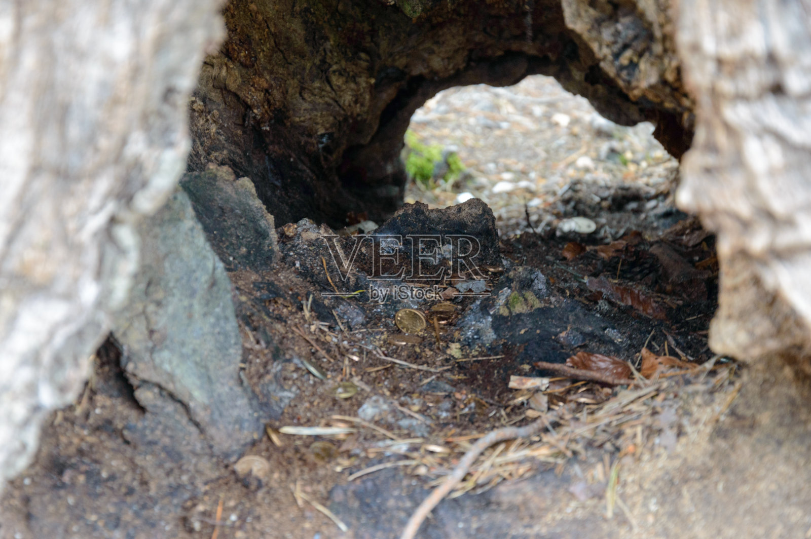 Belintash是保加利亚Rhodope山脉的一个小高原，有人类活动的痕迹。照片摄影图片
