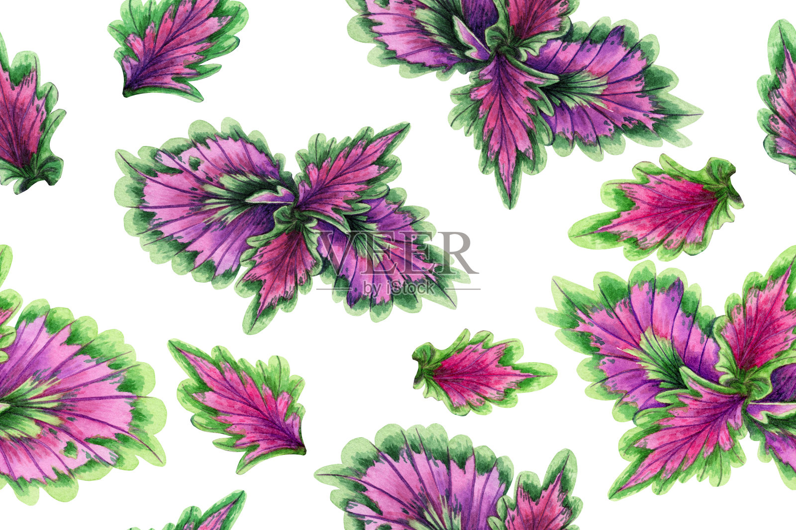 水彩画五彩缤纷的热带棕榈叶，绿叶无缝图案背景。水彩手绘插图热带异国情调的叶子印花墙纸，纺织夏威夷阿罗哈丛林风格。插画图片素材