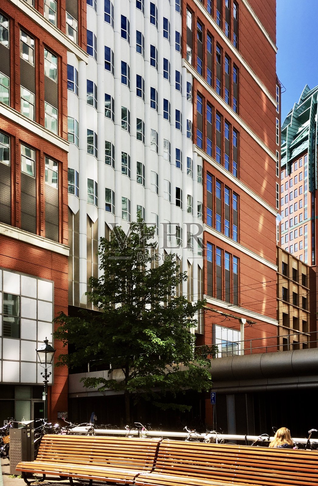 海牙市中心照片摄影图片