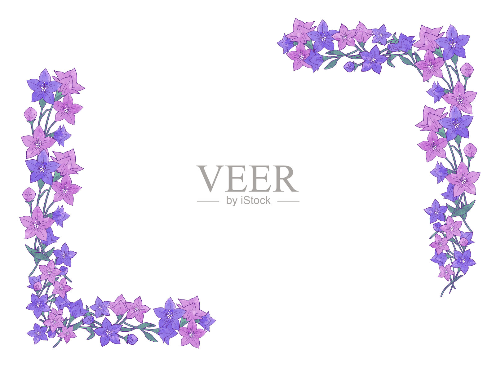 优雅可爱的风铃花框架材料插图插画图片素材