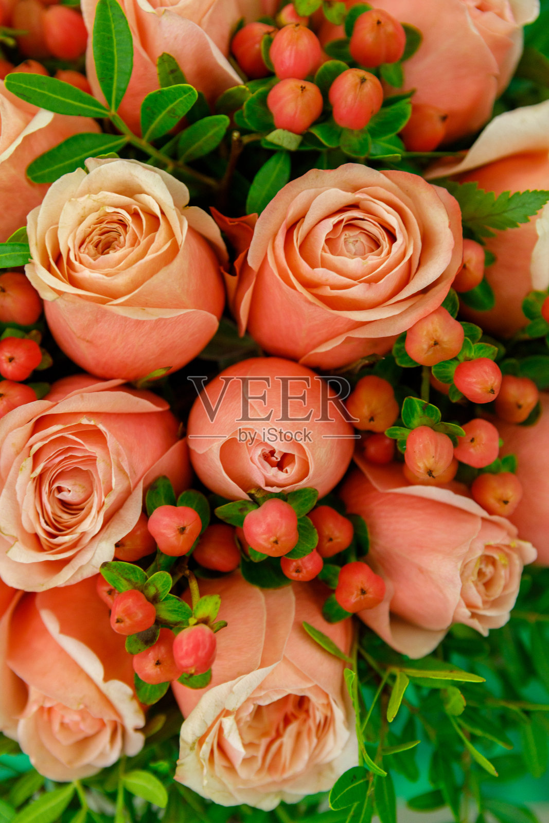 以玫瑰为背景照片摄影图片