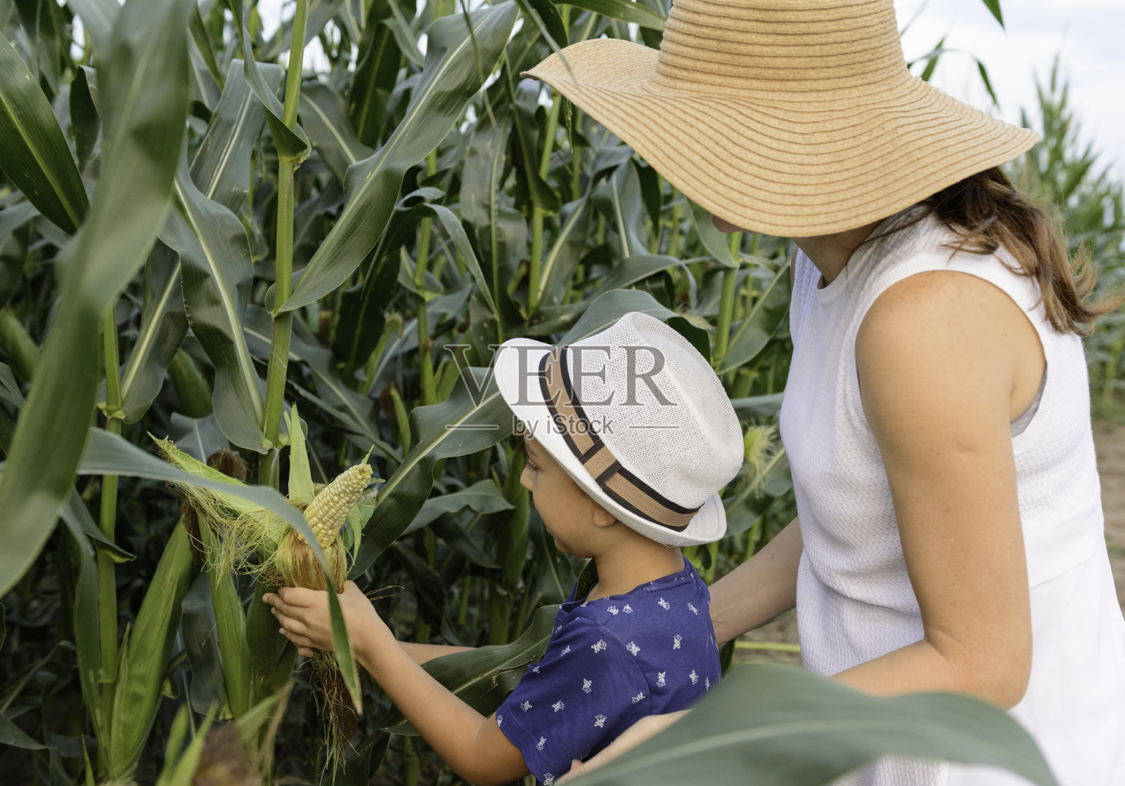 母亲和儿子在家里的农场里寻找玉米芯照片摄影图片