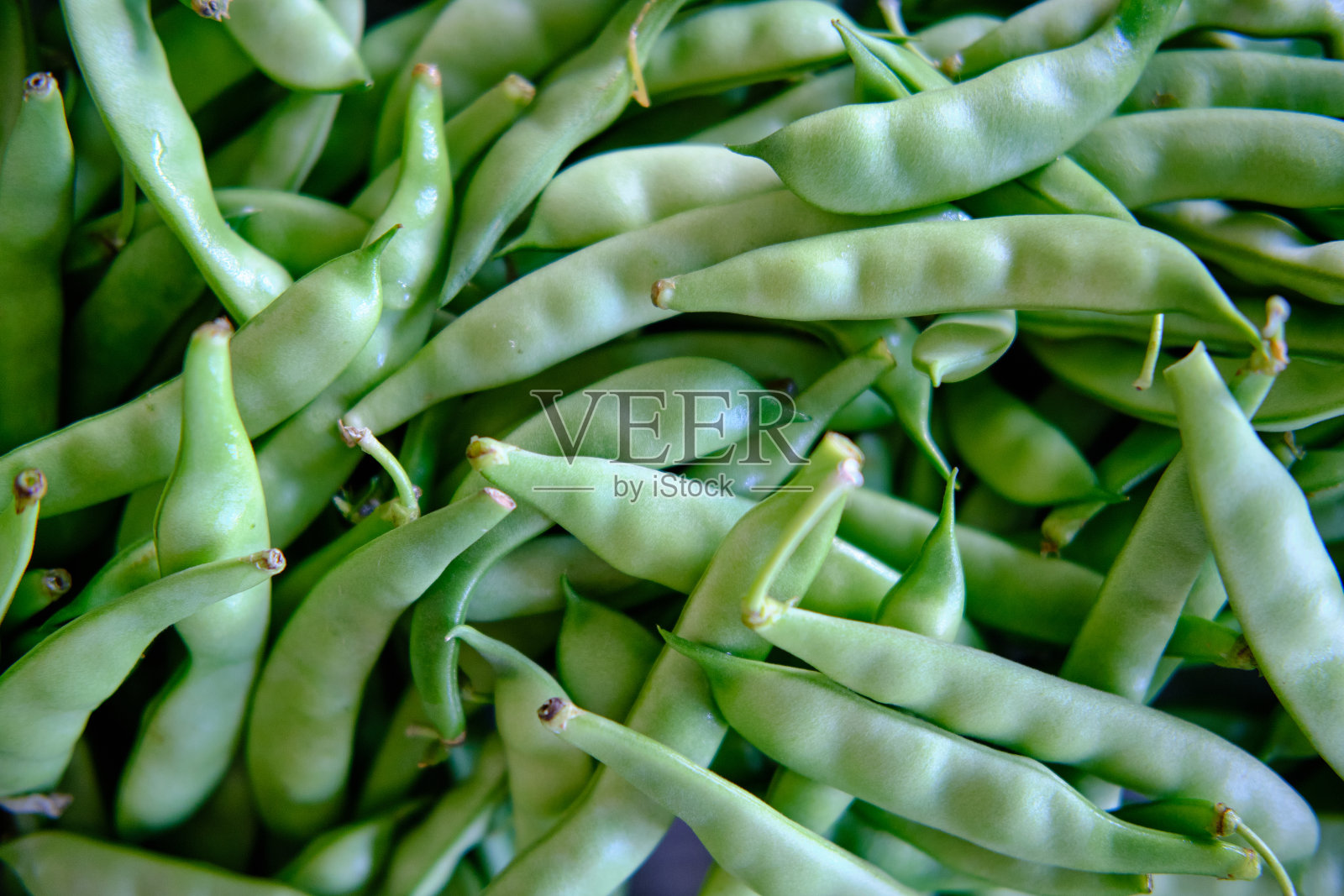 青豆堆照片摄影图片