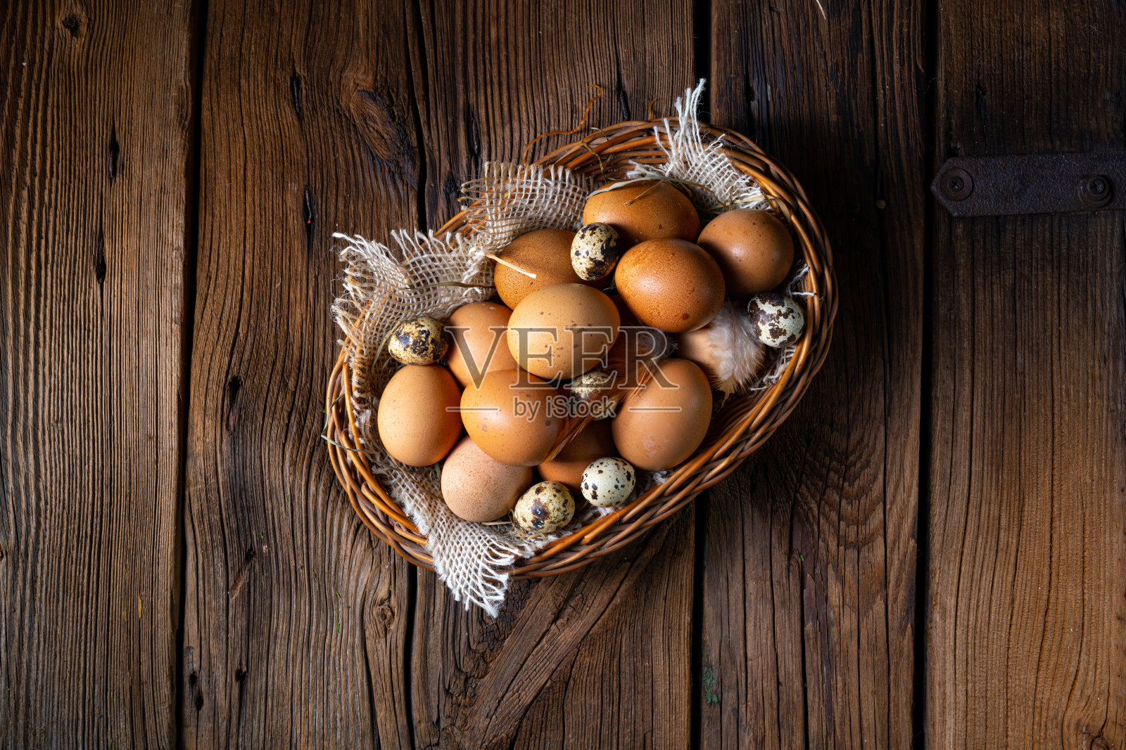 新鲜的鸡蛋直接从农场送到篮子里照片摄影图片