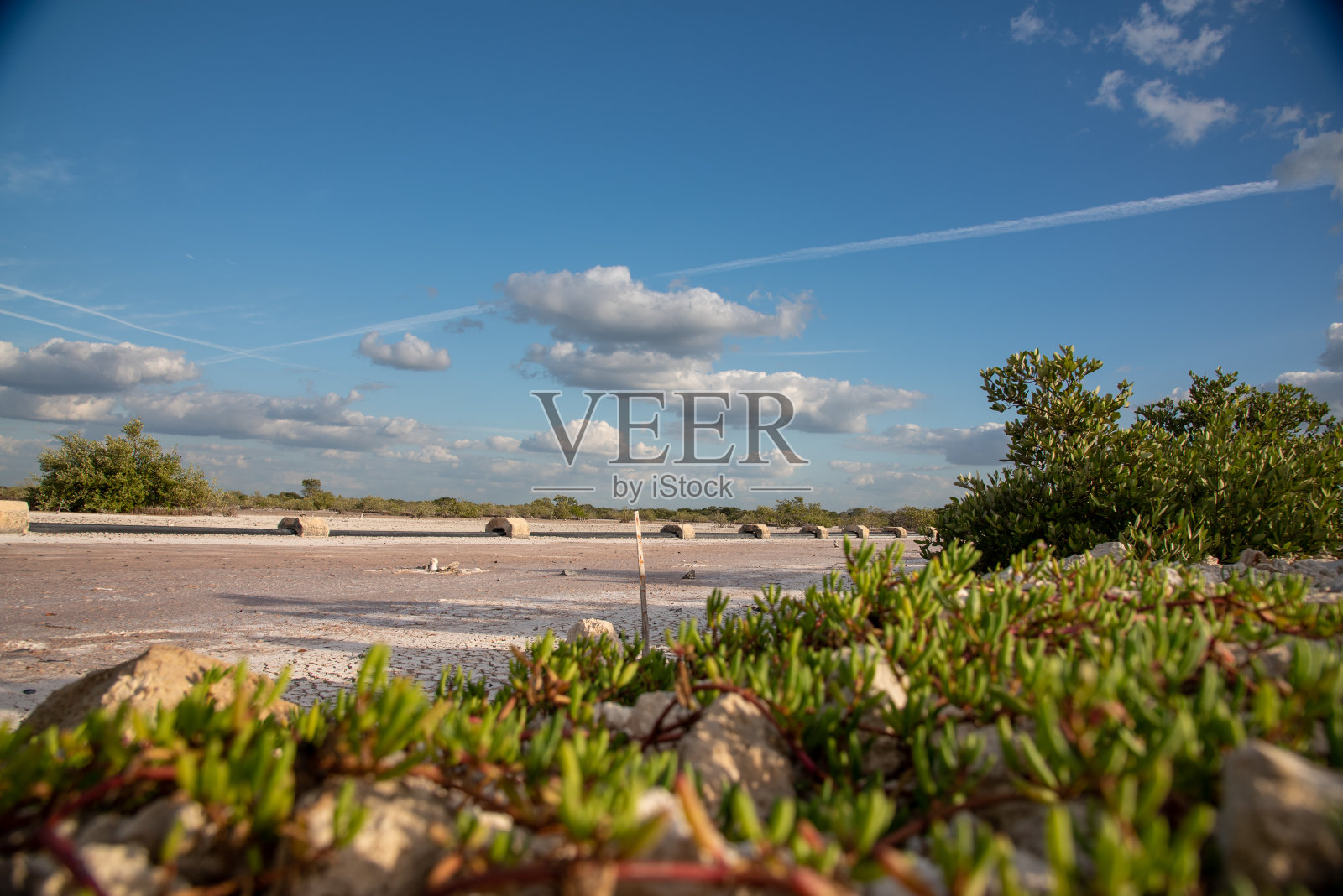 一个干燥的墨西哥农田-普罗格里索，墨西哥(壁纸)照片摄影图片