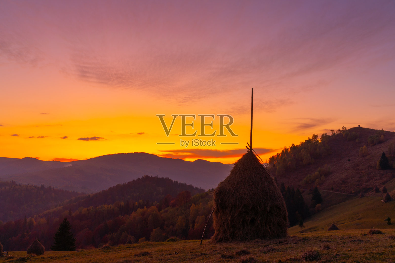 秋天的落叶树在山上。喀尔巴阡山脉中有草堆和森林的草地照片摄影图片