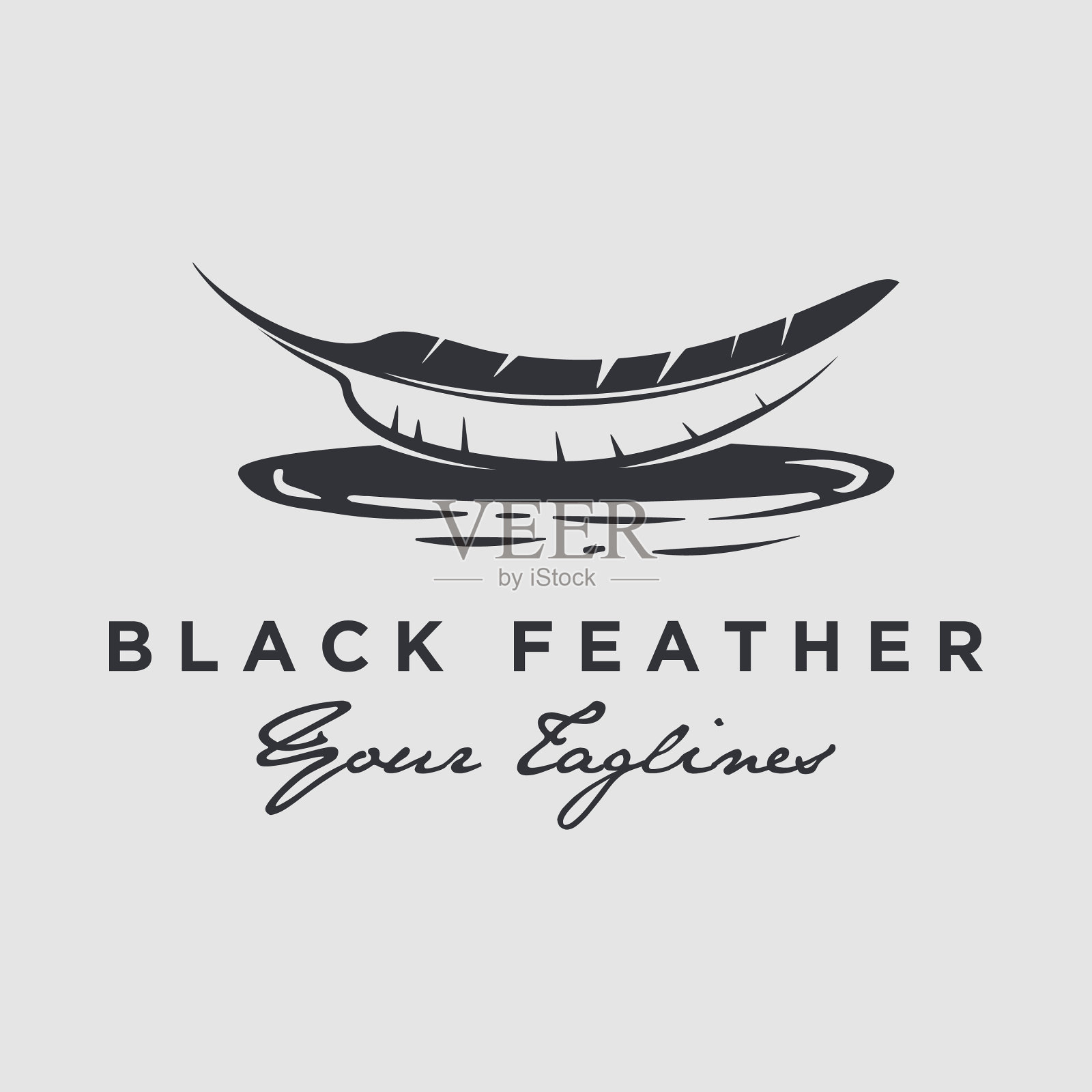 羽毛标志，现代复古风格插画图片素材