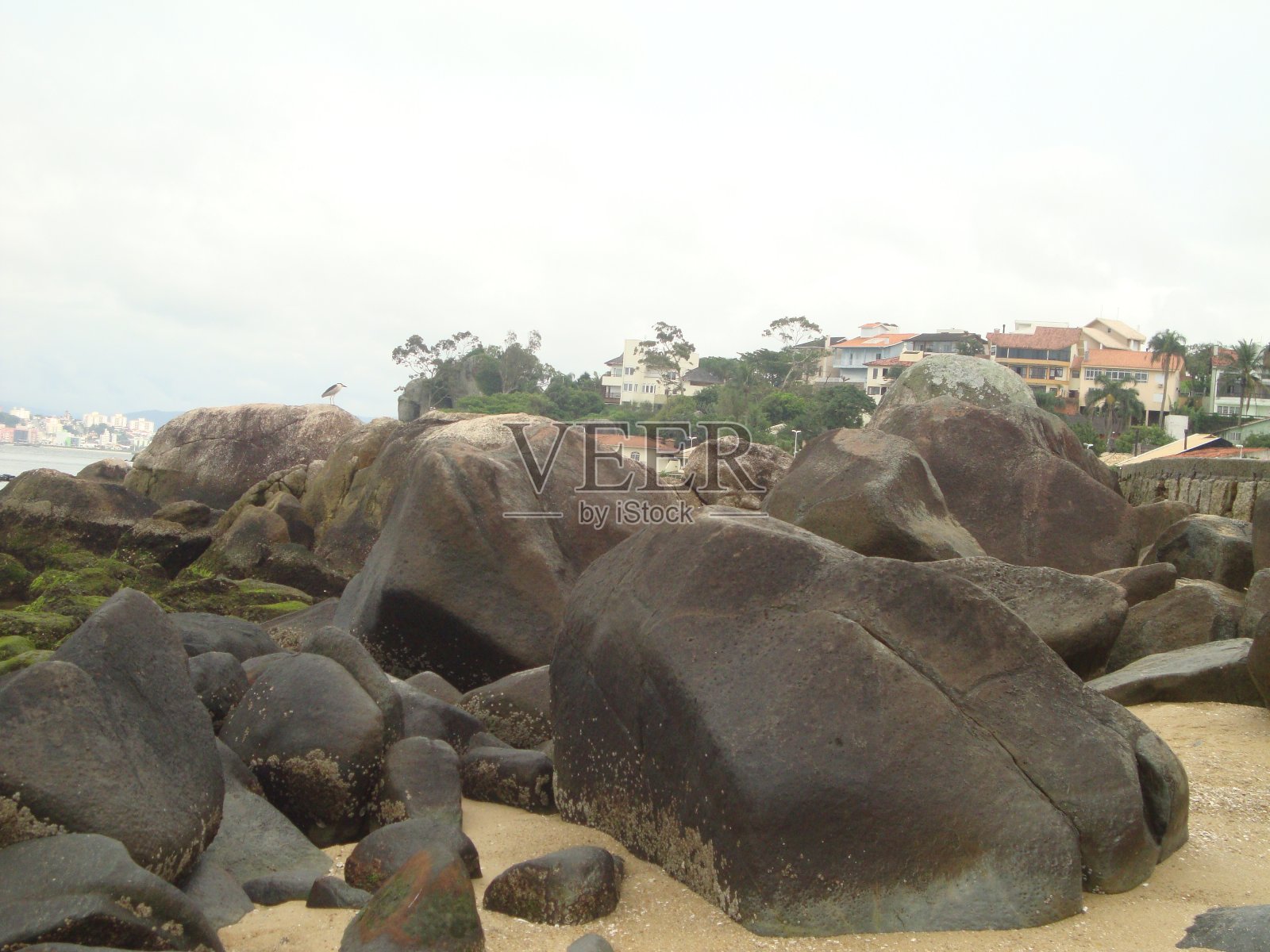 普拉亚达斯皮德拉斯- SC照片摄影图片