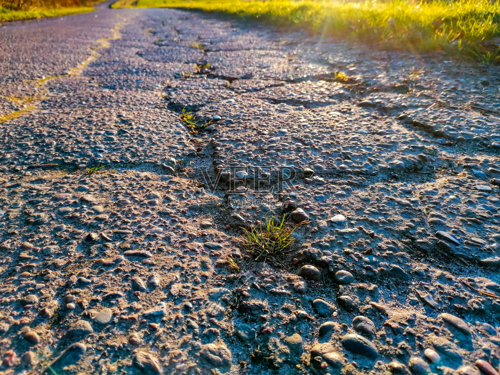 来自Talkau周围的图片照片摄影图片
