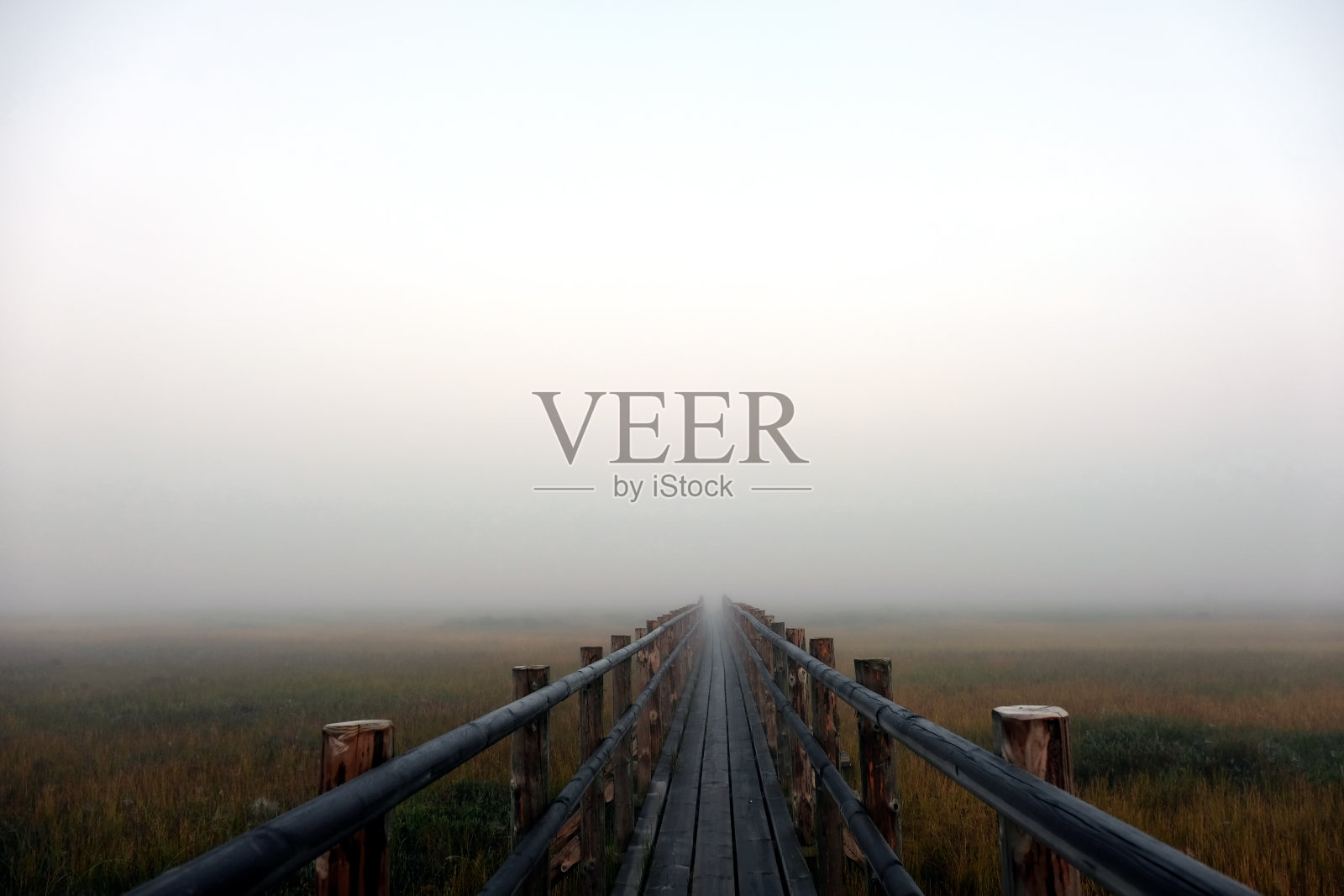 沼泽地里雾蒙蒙的路照片摄影图片