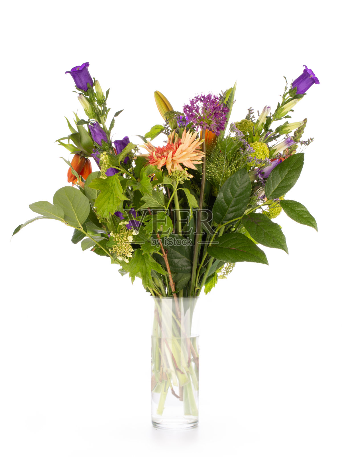 束花照片摄影图片