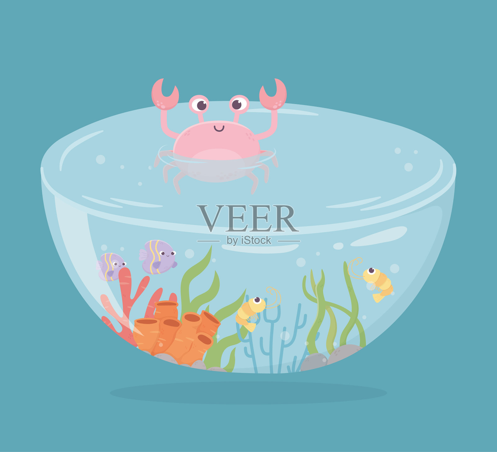 蟹，虾，鱼，珊瑚，水，海底卡通插画图片素材