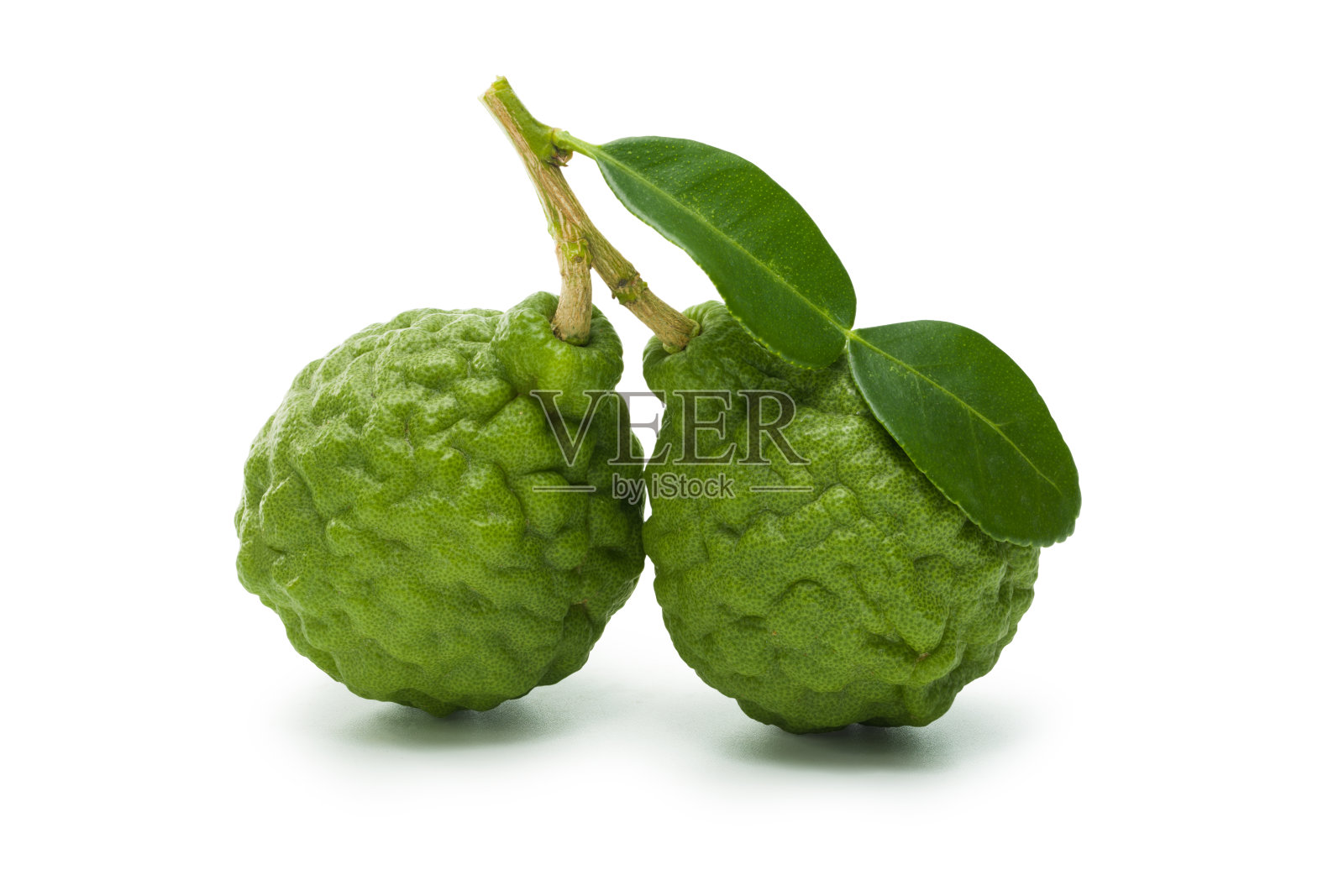 卡菲尔酸橙(佛手柑)孤立在白色背景。剪切路径。完整的深度。照片摄影图片