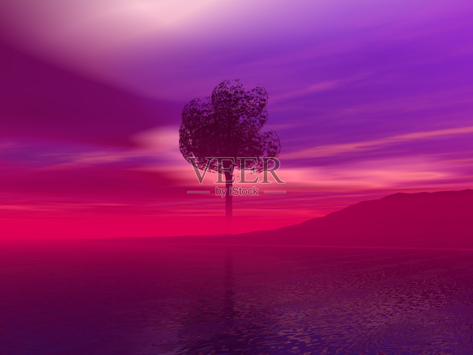 美丽的海洋和树木景观照片摄影图片