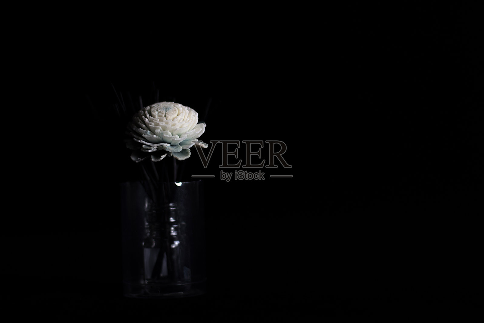 黑色背景上花瓶里的一束细枝。照片摄影图片