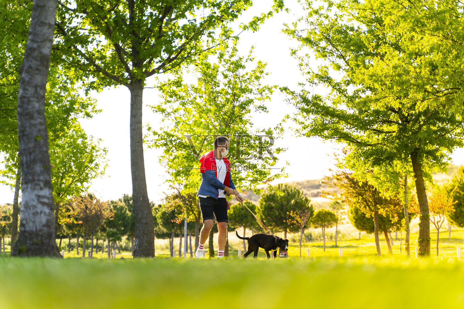 由于COVID-19冠状病毒大流行，一名戴着防护口罩的男子与狗在户外单独行走照片摄影图片