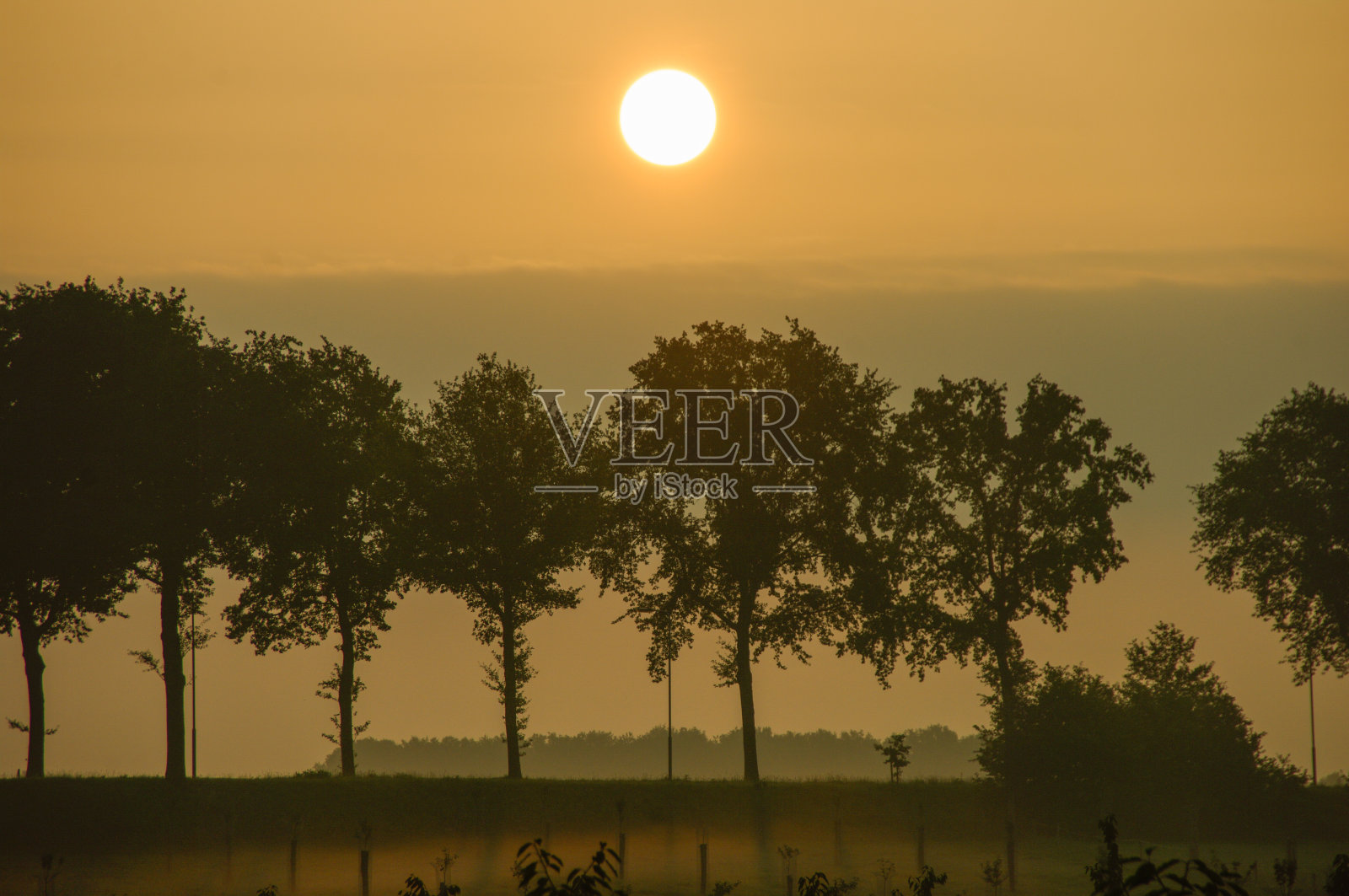 乡村的日出景象照片摄影图片