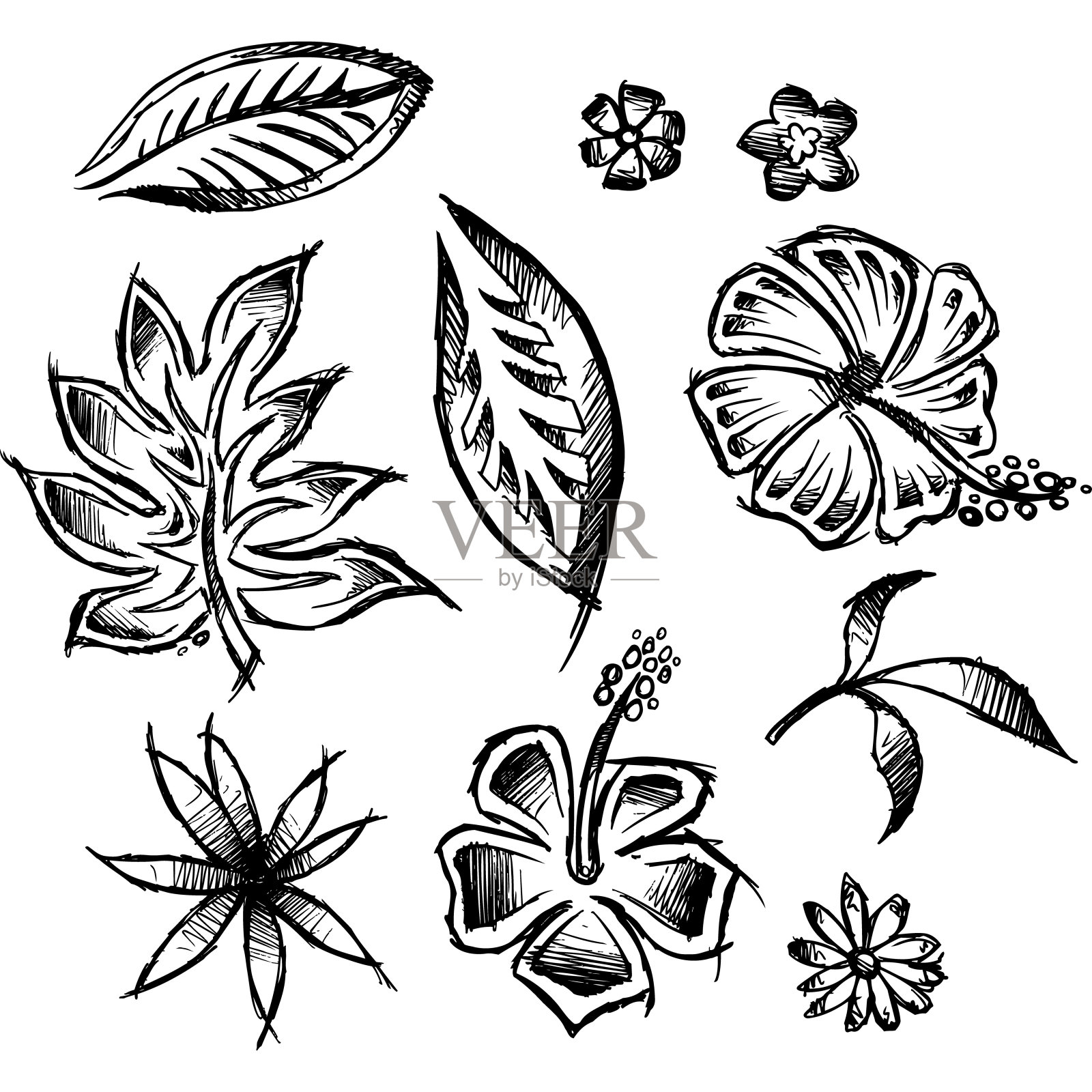 福雷插画图片素材