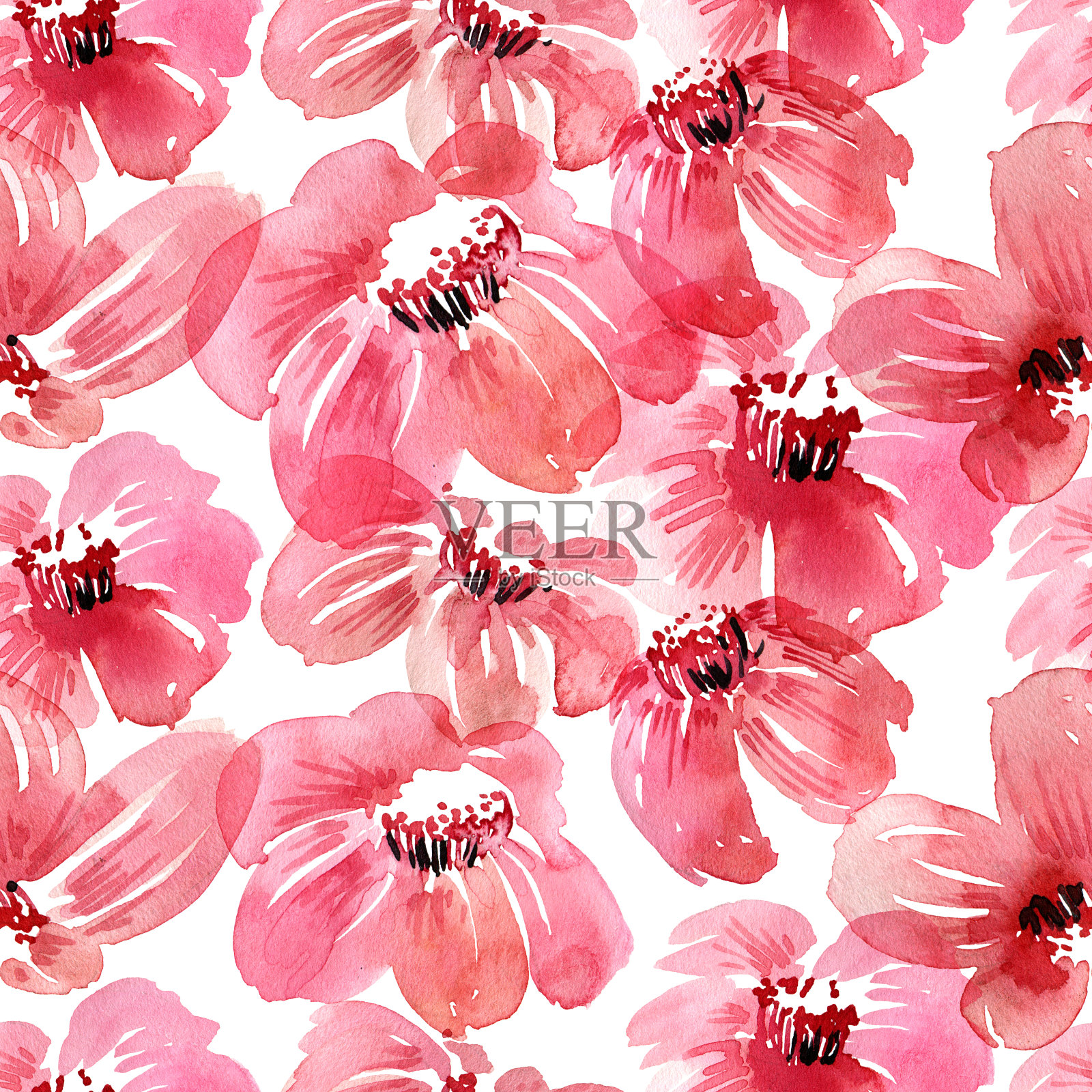 水彩花卉图案插画图片素材