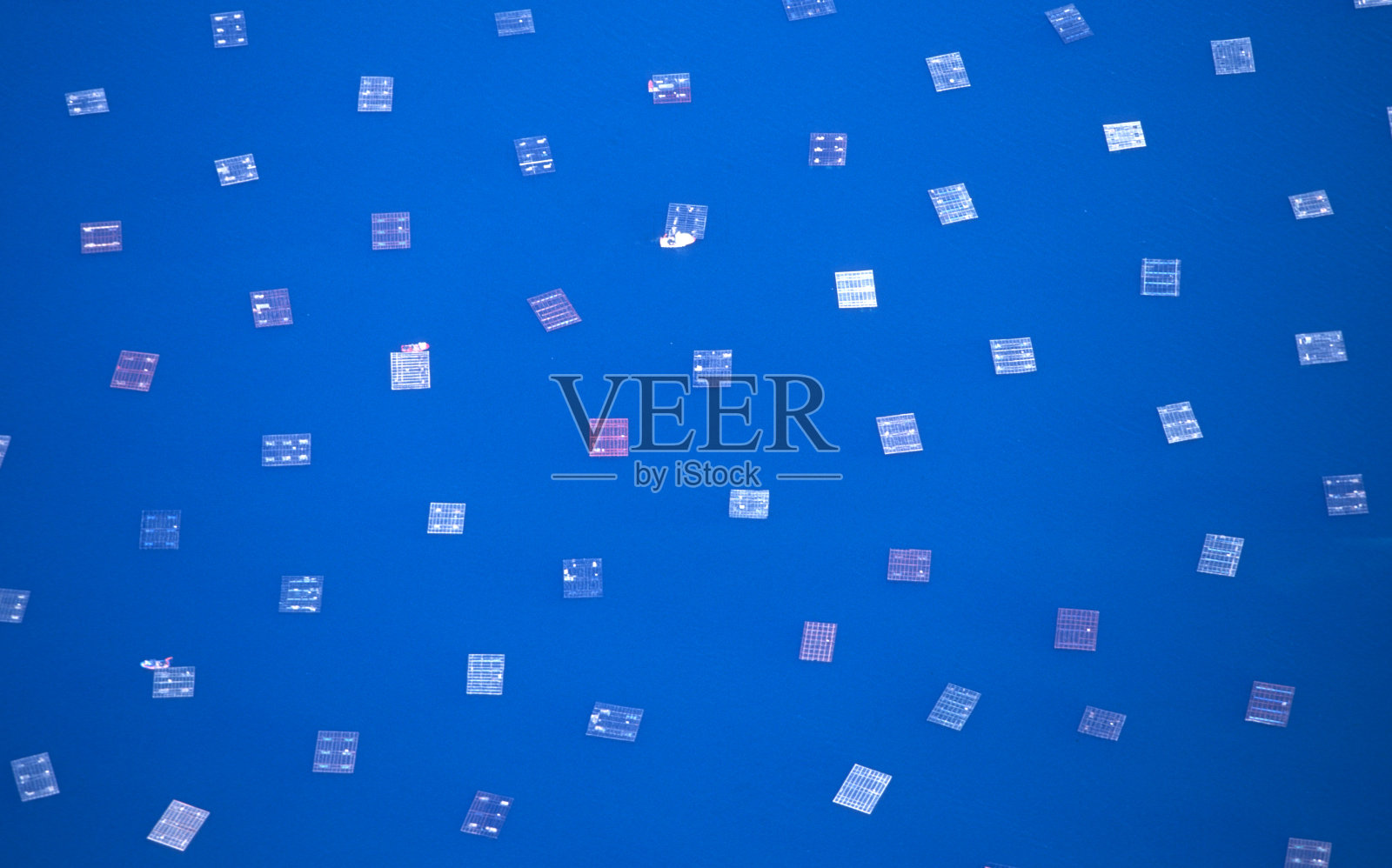 航拍贻贝水产养殖托盘“batea”在阿勒斯里亚斯拜萨斯河口地区加利西亚西班牙加利西亚照片摄影图片