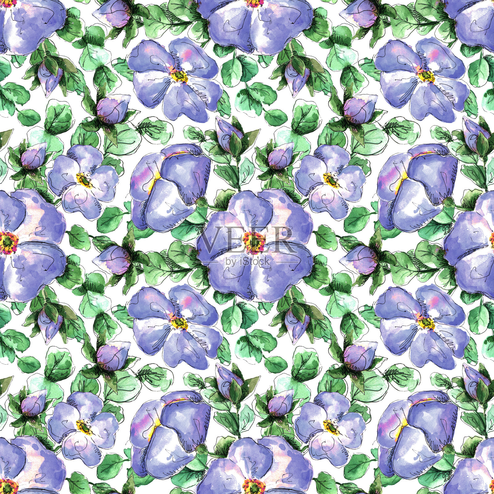 无缝水彩图案手绘珊瑚野玫瑰为您的印花和纺织品设计。浅蓝色的花和芽，绿色的玫瑰花瓣在白色的背景插画图片素材