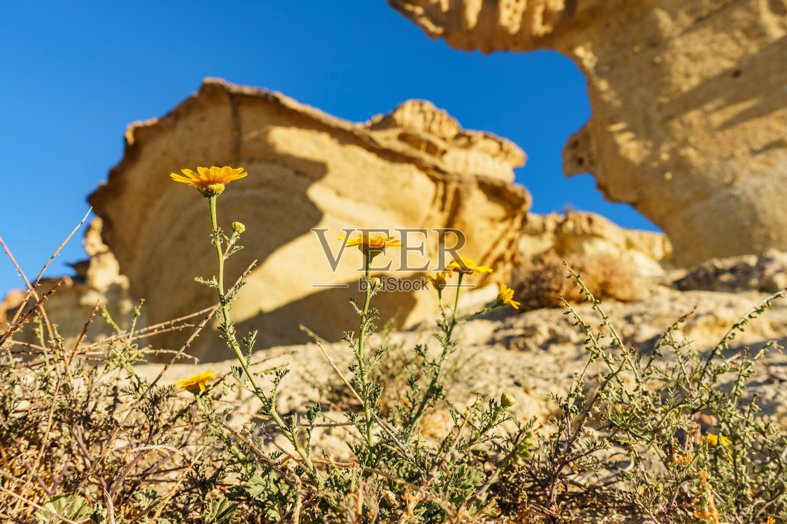 西班牙Bolnuevo的砂岩地层照片摄影图片