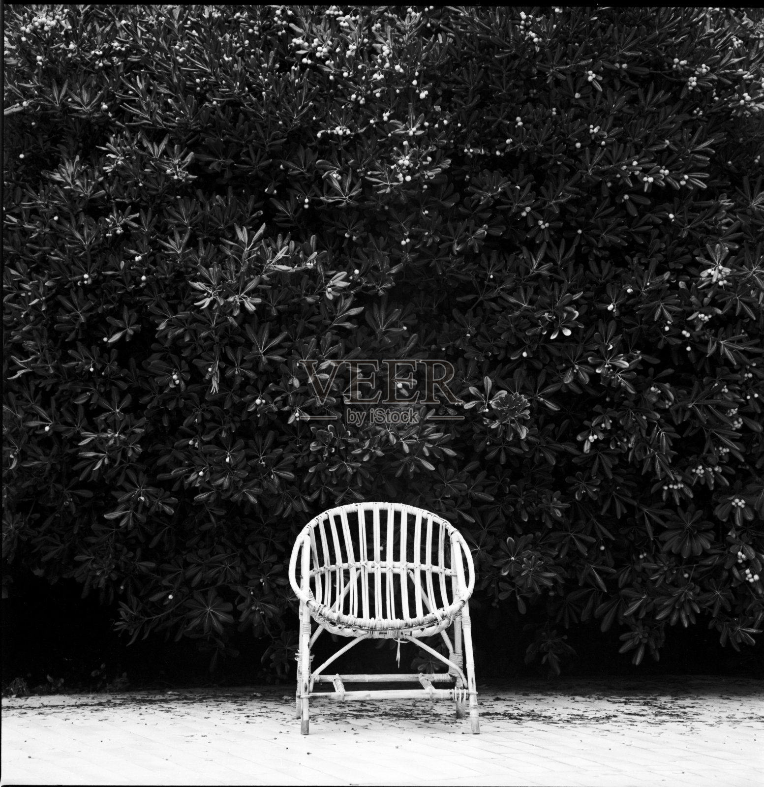 木头椅子照片摄影图片