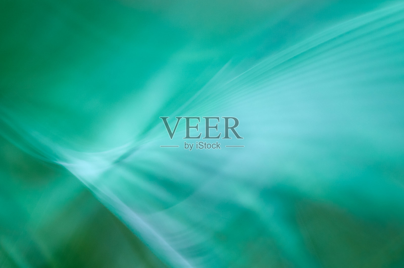 蕨类运动的抽象图像照片摄影图片