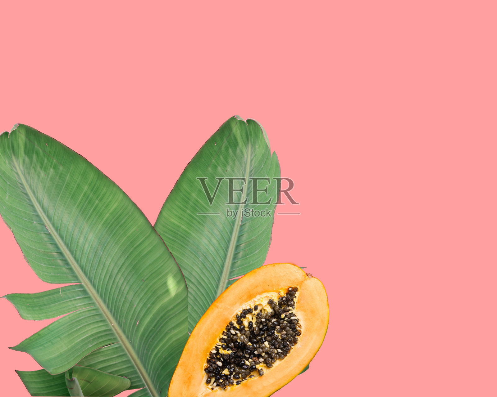 熟透多汁的对半木瓜在绿色的棕榈树叶上粉红色的背景。热带自然异国水果照片摄影图片