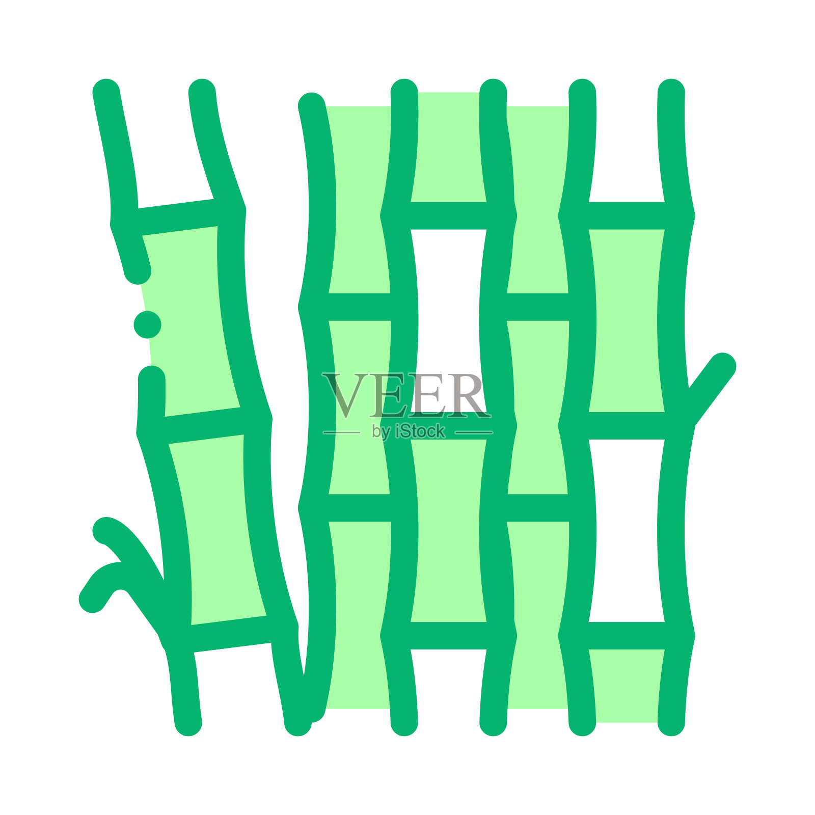 竹茎图标矢量轮廓插图插画图片素材