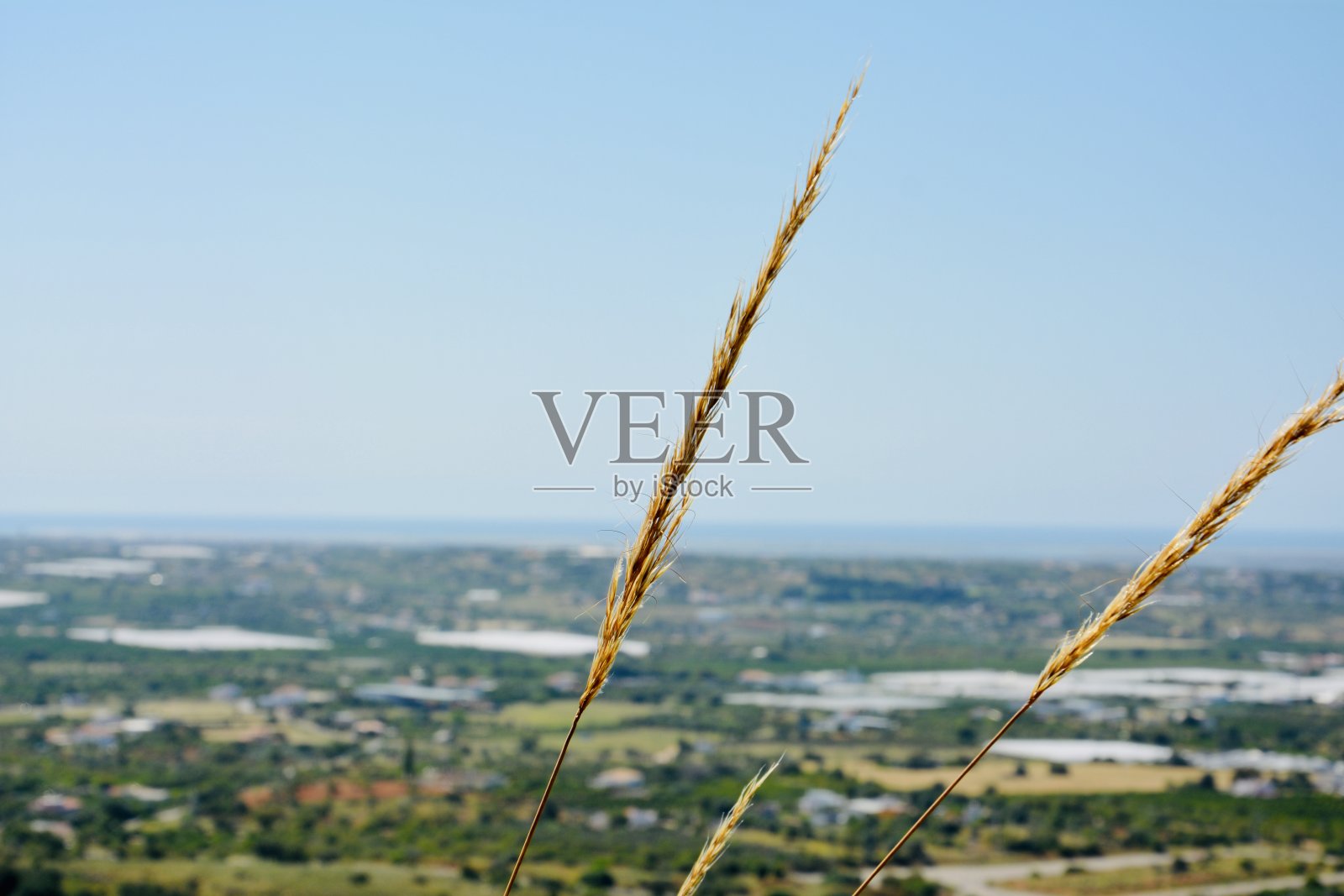 阿尔加维海岸照片摄影图片